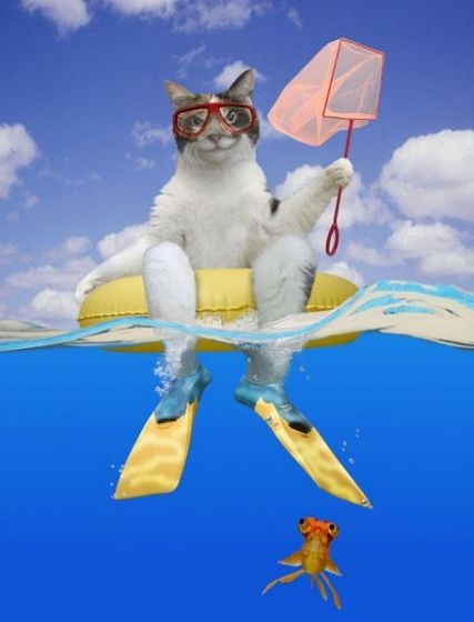 Ксюша (Ksay) с Днём Варенья!!!