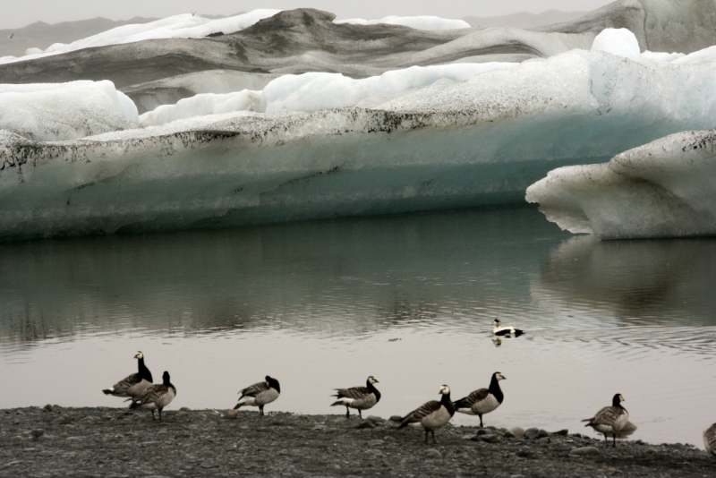 Исландия. Июнь 2014. Unreal. Unbelievable. Unutterable