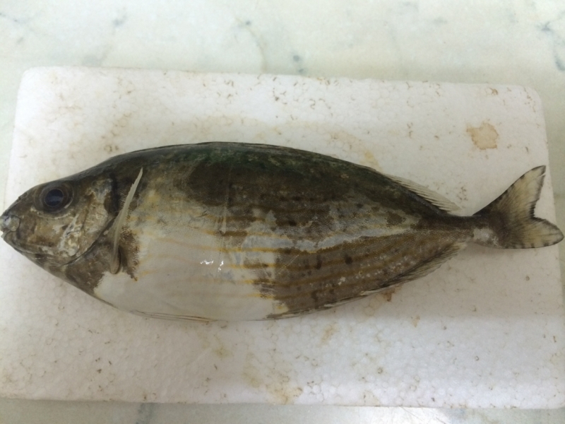 Фотозагадки - 2014