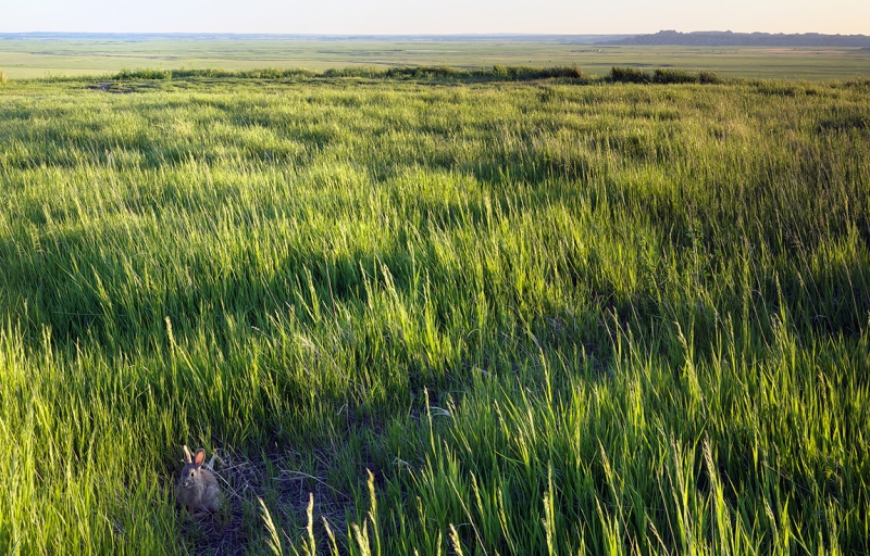 badlands