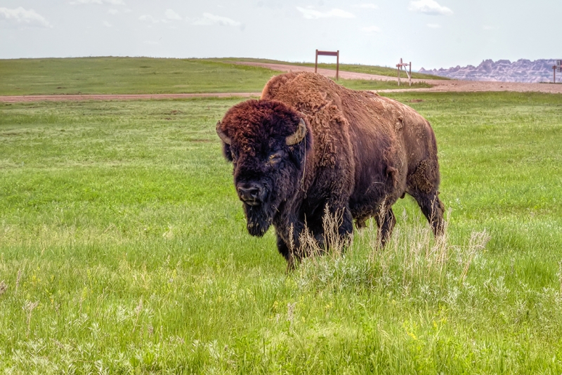 badlands