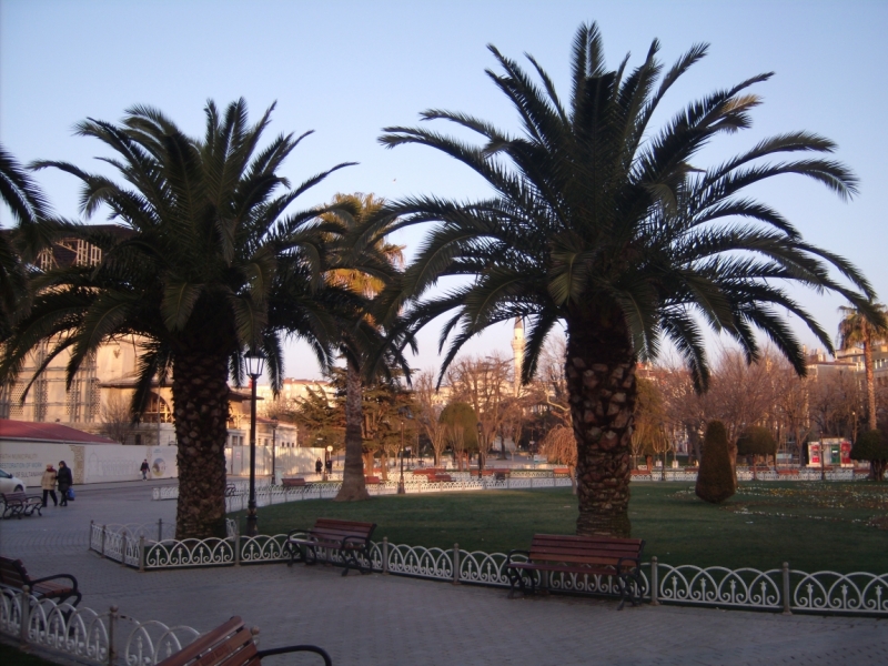 Неделя в Стамбуле ранней весной – март 2013.