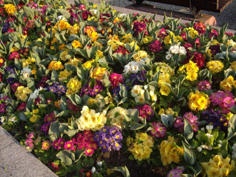 Неделя в Стамбуле ранней весной – март 2013.