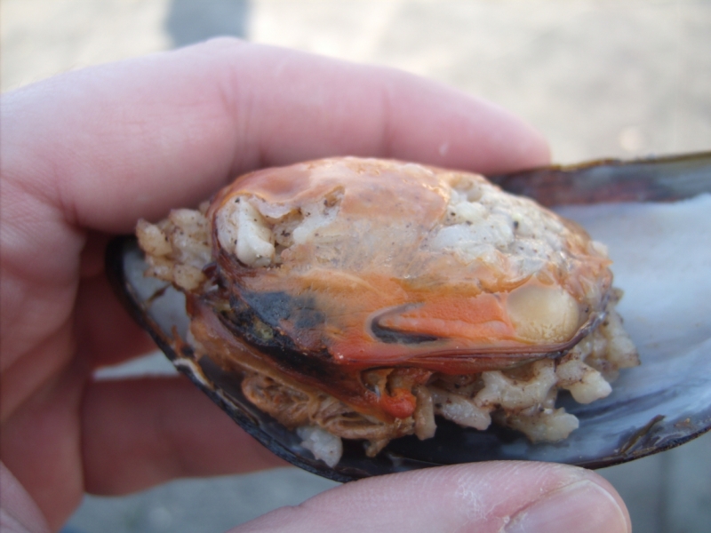 Неделя в Стамбуле ранней весной – март 2013.