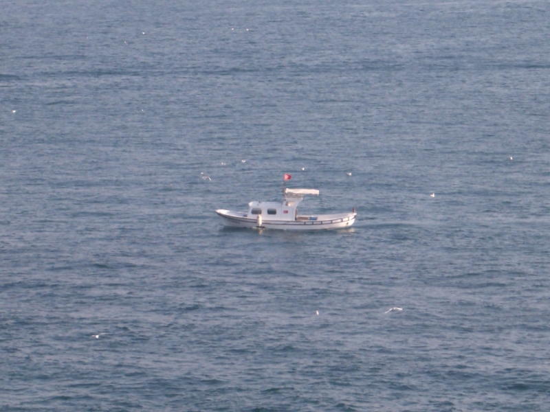 Неделя в Стамбуле ранней весной – март 2013.