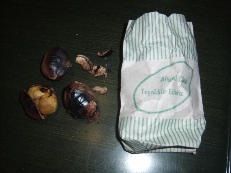 Неделя в Стамбуле ранней весной – март 2013.