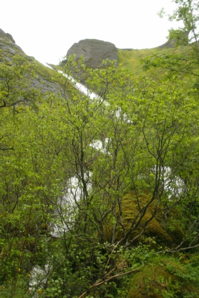 Исландия. Июнь 2014. Unreal. Unbelievable. Unutterable