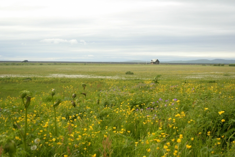 Исландия. Июнь 2014. Unreal. Unbelievable. Unutterable