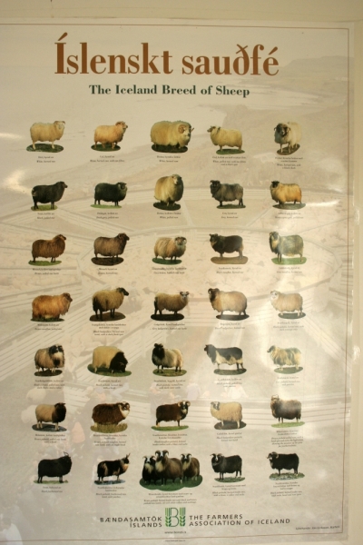 Исландия. Июнь 2014. Unreal. Unbelievable. Unutterable