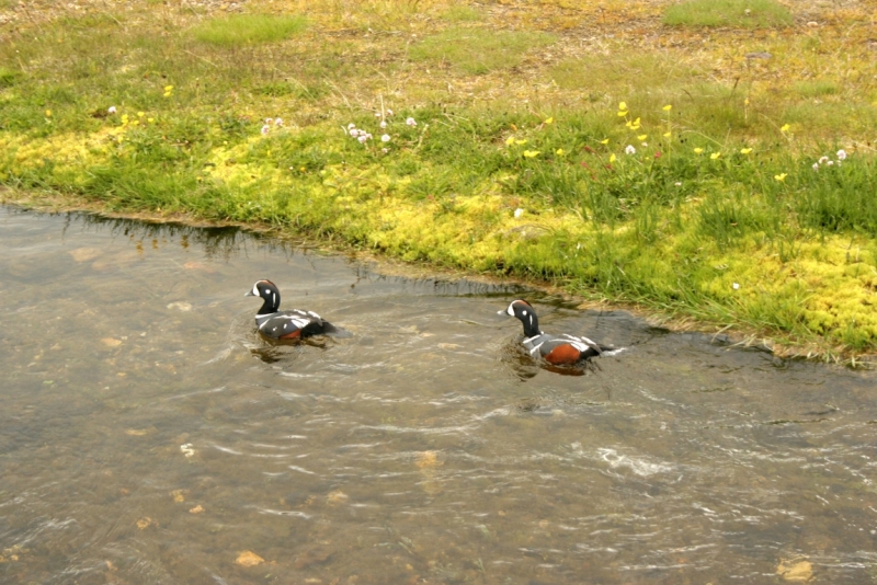 Исландия. Июнь 2014. Unreal. Unbelievable. Unutterable