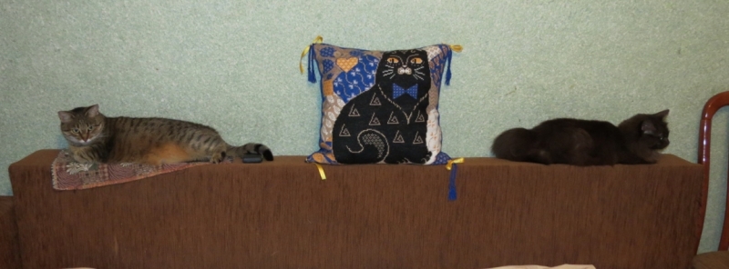 Поговорим о кошках 29