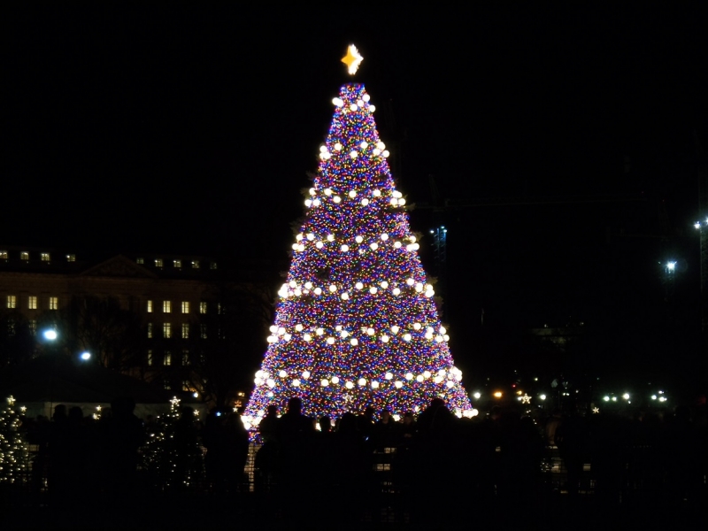 Красота по-американски (добавлена вторая часть)