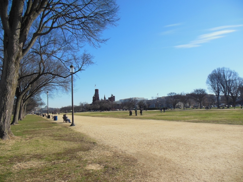 Смитсоновский институт