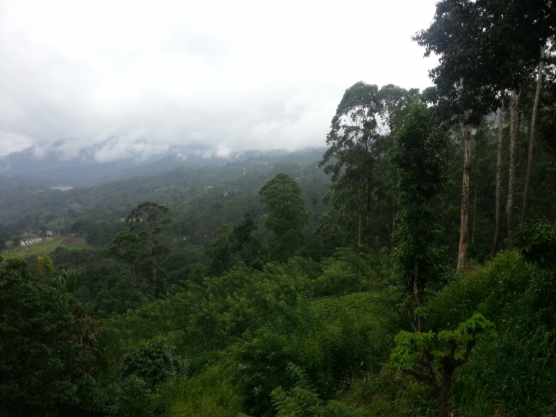 Sri Lanka