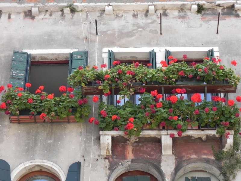 Семейное турне из Татарстана в Черногорию через Венецию, июль 2014