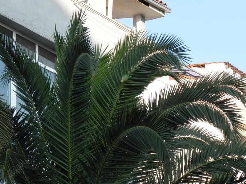 Семейное турне из Татарстана в Черногорию через Венецию, июль 2014