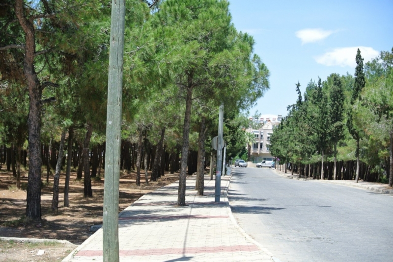 Галопом по западному побережью Турции: Стамбул-Бодрум-Дидим-Кушадасы-Бергама-Измир-Стамбул