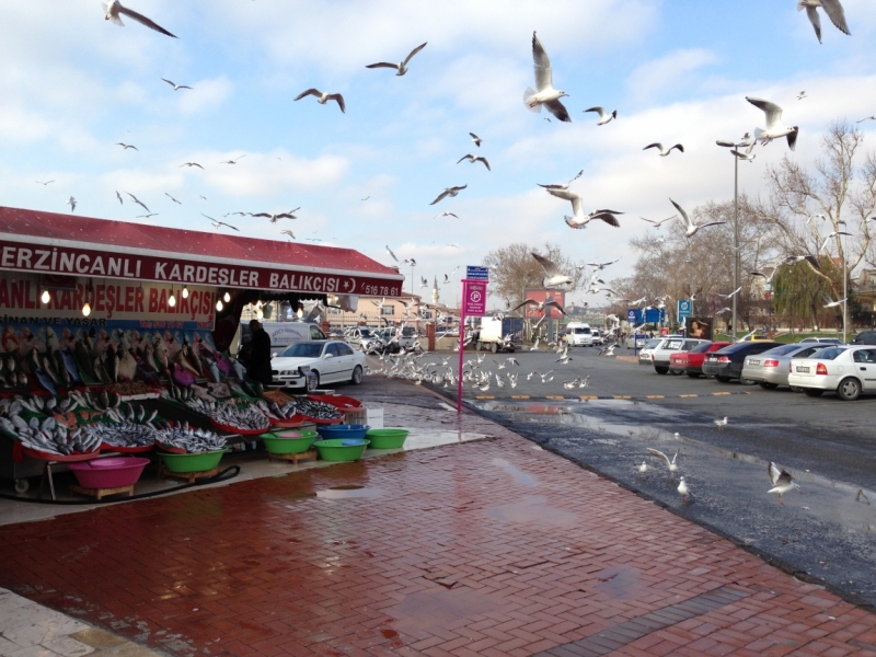 Новый год на Истикляль (4 дня в Стамбуле)