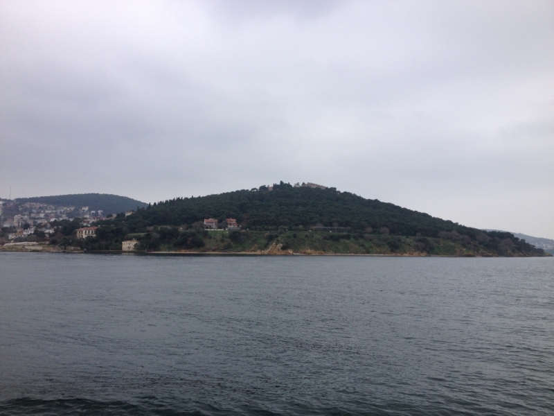 Новый год на Истикляль (4 дня в Стамбуле)