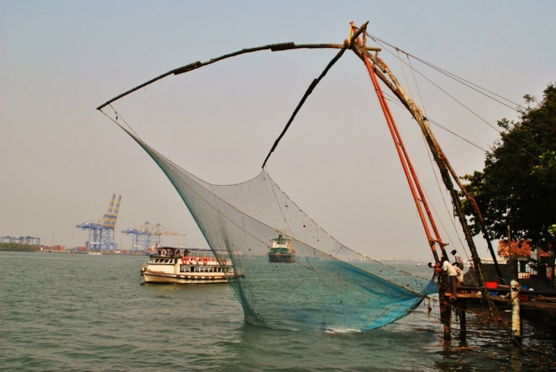 Керала-Тамилнад. Январь 2014. Фото