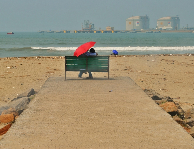 Керала-Тамилнад. Январь 2014. Фото