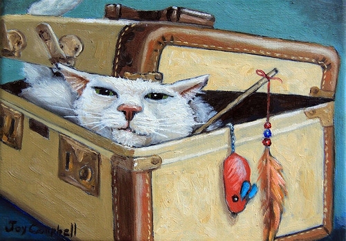 Поговорим о кошках 29