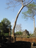 Preah-Khan-5
