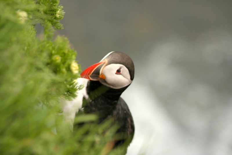 Исландия. Июнь 2014. Unreal. Unbelievable. Unutterable