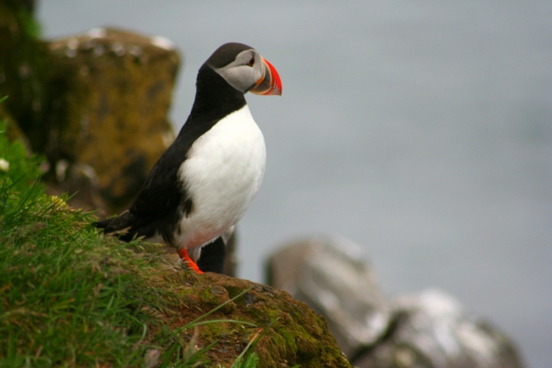 Исландия. Июнь 2014. Unreal. Unbelievable. Unutterable