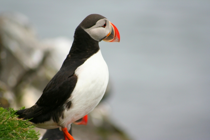 Исландия. Июнь 2014. Unreal. Unbelievable. Unutterable