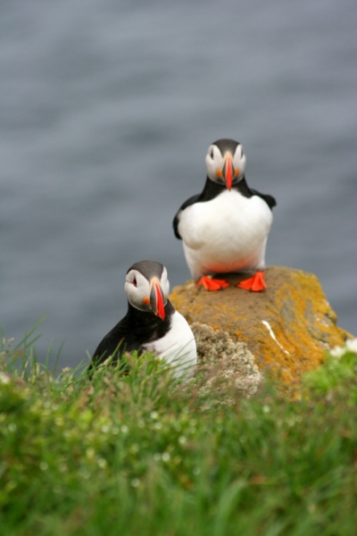 Исландия. Июнь 2014. Unreal. Unbelievable. Unutterable