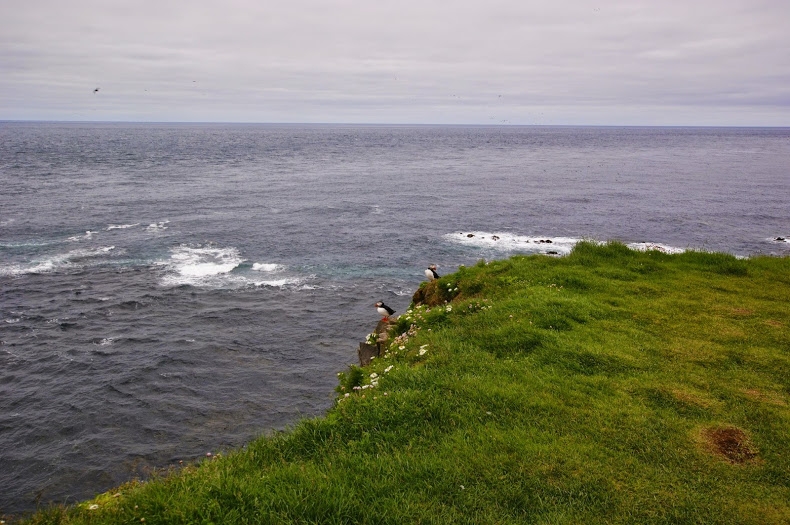 Исландия. Июнь 2014. Unreal. Unbelievable. Unutterable