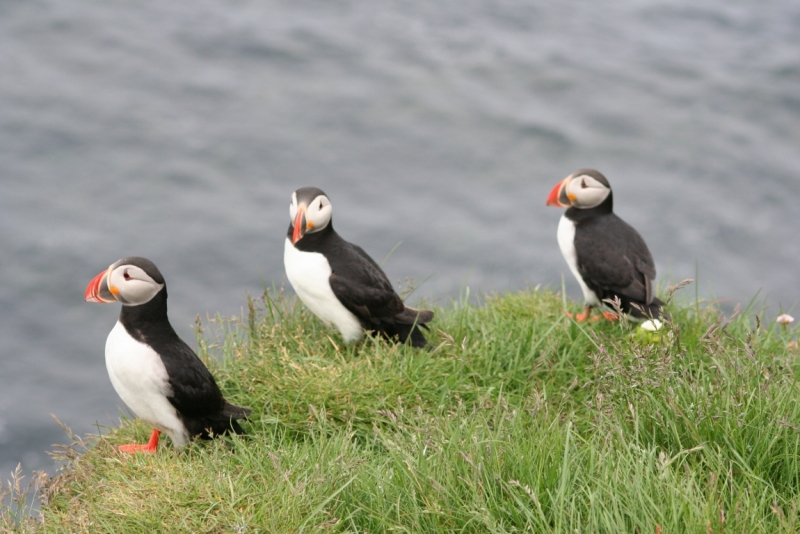 Исландия. Июнь 2014. Unreal. Unbelievable. Unutterable