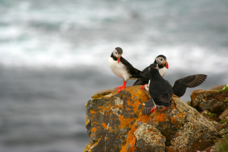 Исландия. Июнь 2014. Unreal. Unbelievable. Unutterable