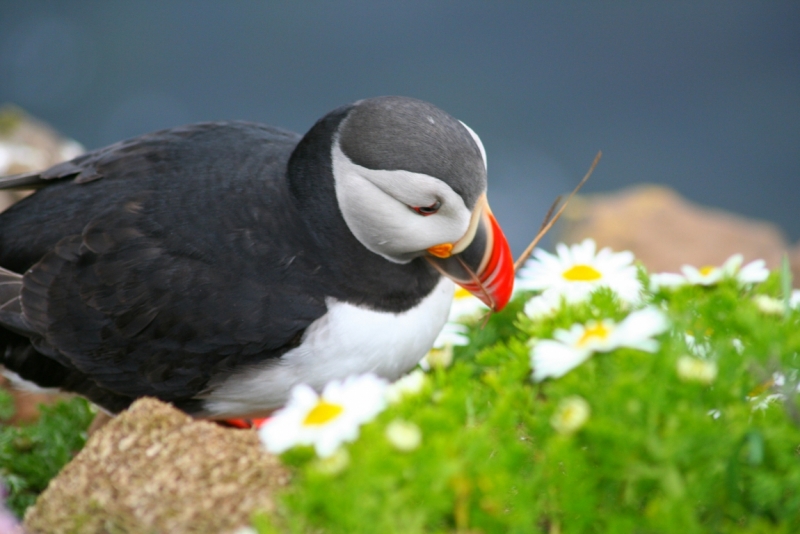 Исландия. Июнь 2014. Unreal. Unbelievable. Unutterable