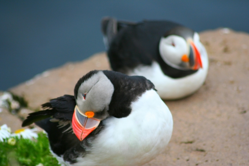 Исландия. Июнь 2014. Unreal. Unbelievable. Unutterable