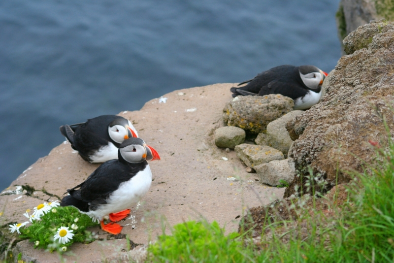 Исландия. Июнь 2014. Unreal. Unbelievable. Unutterable