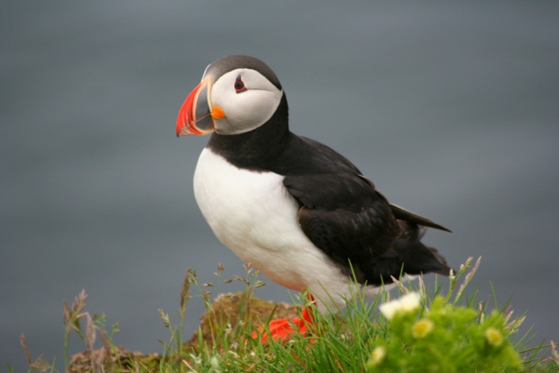 Исландия. Июнь 2014. Unreal. Unbelievable. Unutterable