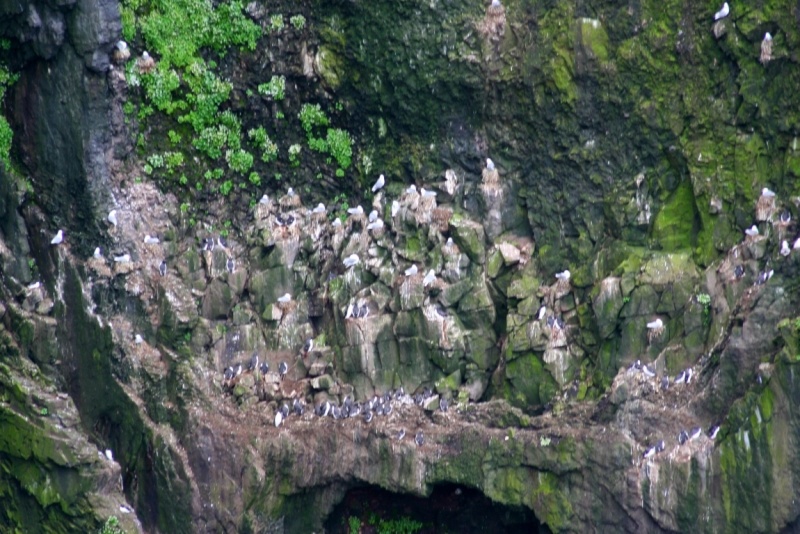 Исландия. Июнь 2014. Unreal. Unbelievable. Unutterable