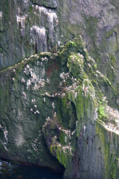 Исландия. Июнь 2014. Unreal. Unbelievable. Unutterable