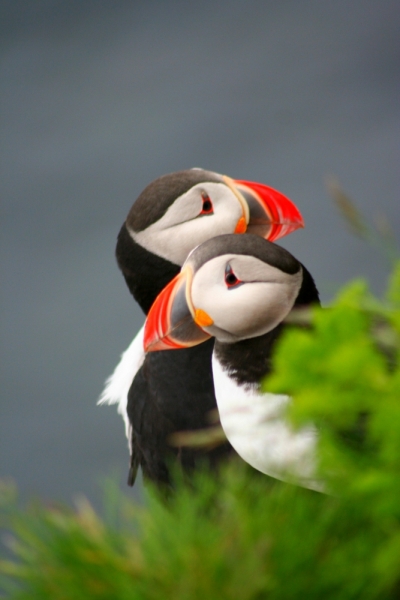 Исландия. Июнь 2014. Unreal. Unbelievable. Unutterable