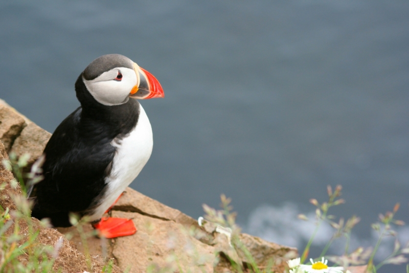 Исландия. Июнь 2014. Unreal. Unbelievable. Unutterable