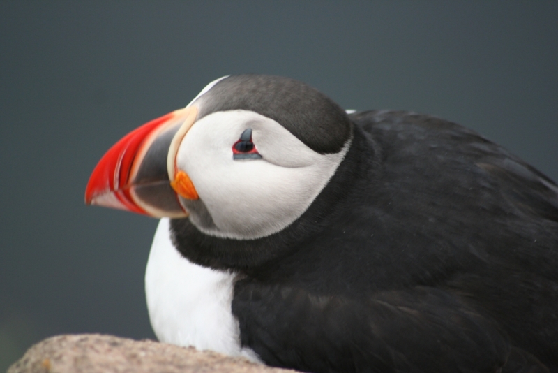 Исландия. Июнь 2014. Unreal. Unbelievable. Unutterable