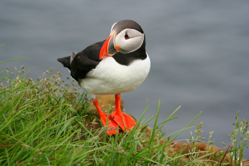 Исландия. Июнь 2014. Unreal. Unbelievable. Unutterable