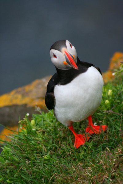 Исландия. Июнь 2014. Unreal. Unbelievable. Unutterable