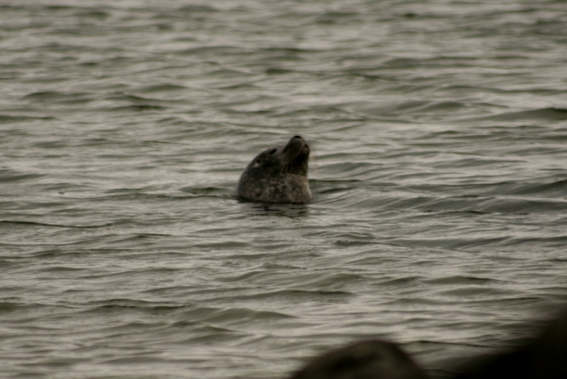 Исландия. Июнь 2014. Unreal. Unbelievable. Unutterable