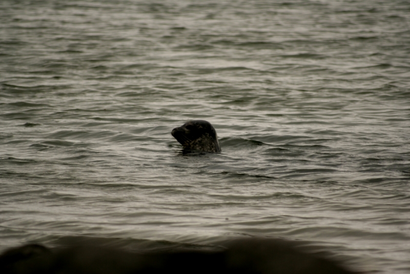 Исландия. Июнь 2014. Unreal. Unbelievable. Unutterable