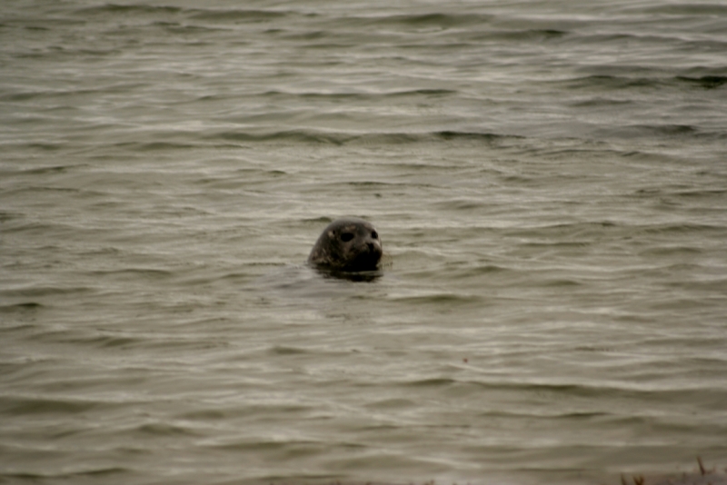 Исландия. Июнь 2014. Unreal. Unbelievable. Unutterable