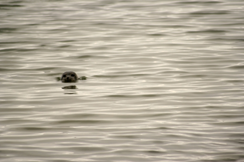 Исландия. Июнь 2014. Unreal. Unbelievable. Unutterable