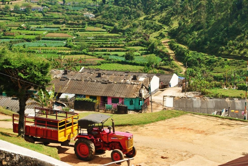 Керала-Тамилнад. Январь 2014. Фото